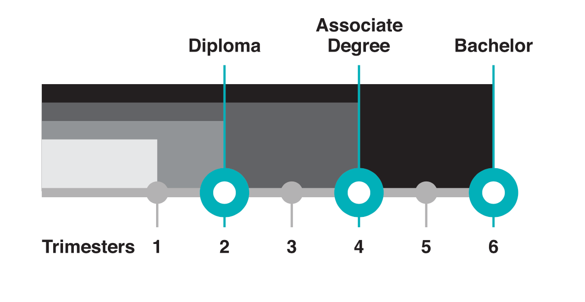 Animation Course Structure